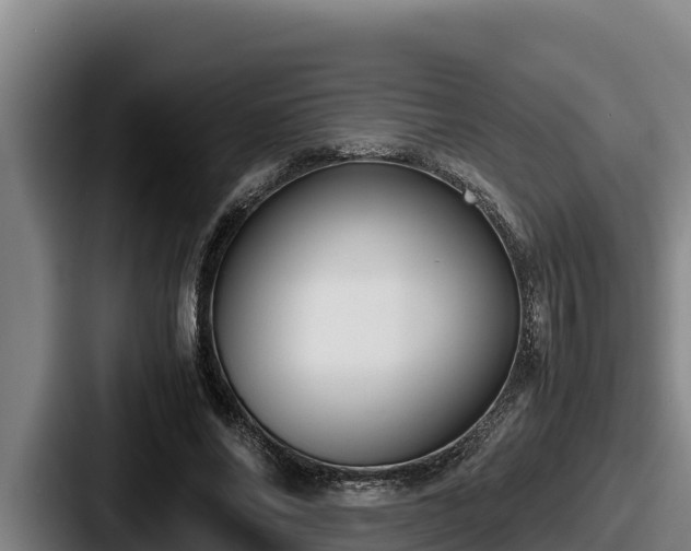 X0000087690686200705111321