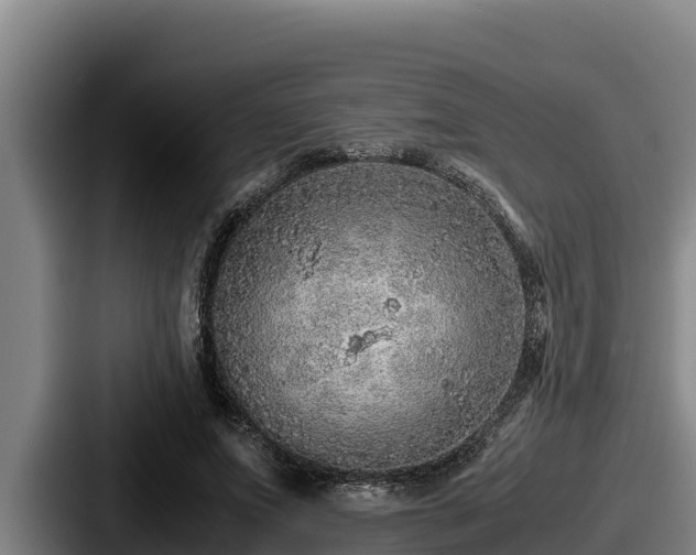 X0000087690687200705111321