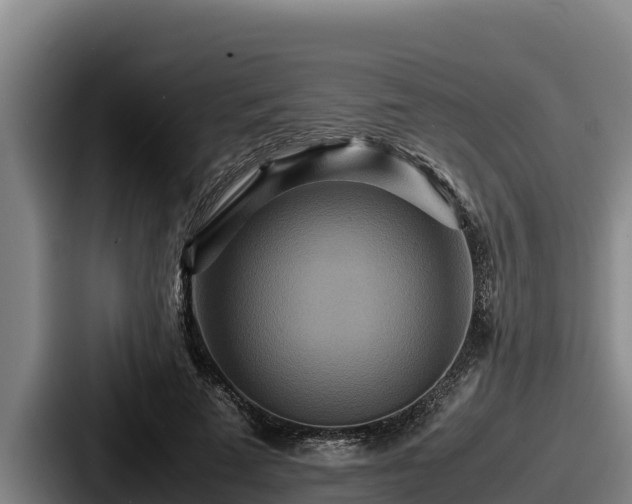 X0000087690689200705111321
