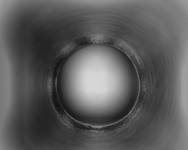 X0000087690690200705111321