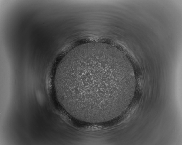 X0000087690691200705111321