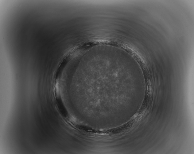 X0000087690692200705111321
