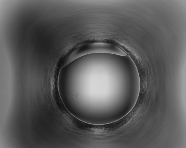X0000087690693200705111321