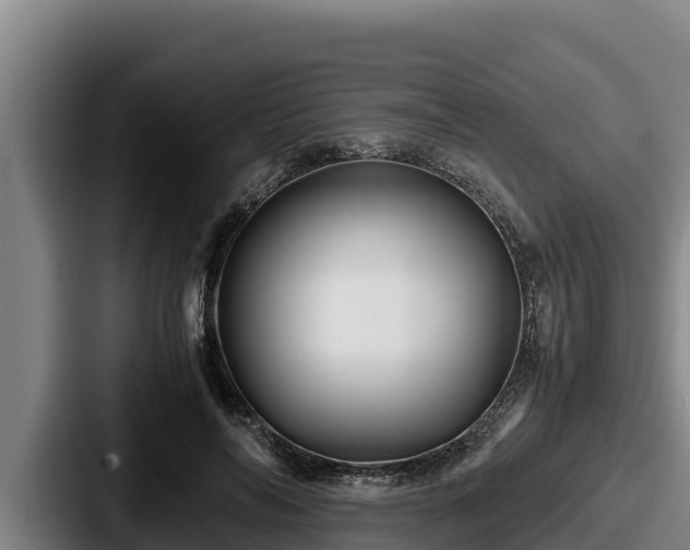 X0000087690694200705111321