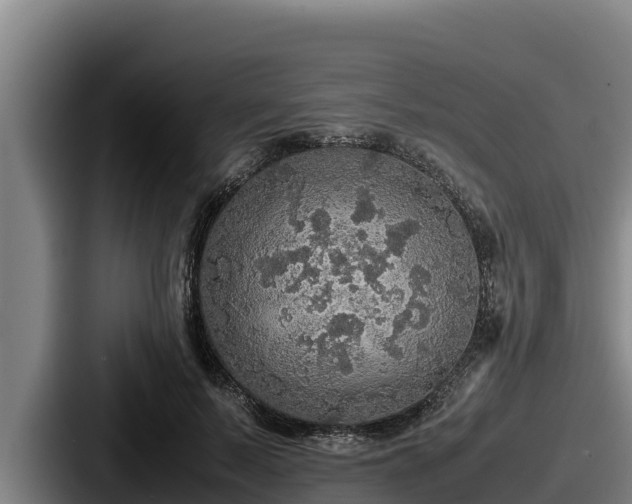 X0000087690695200705111321