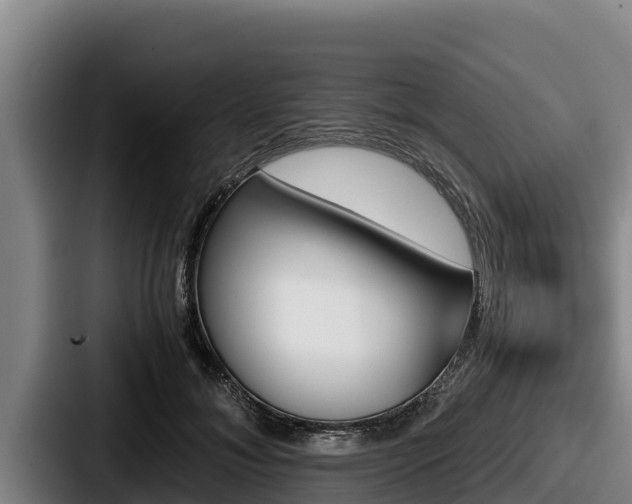 X0000087690700200705111321