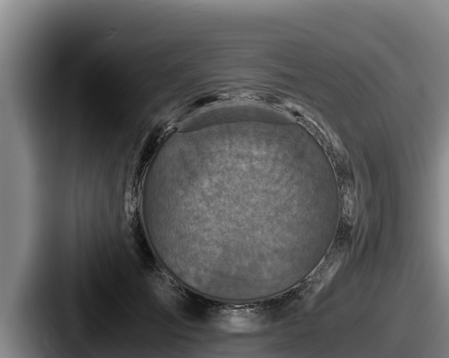 X0000087690701200705111321