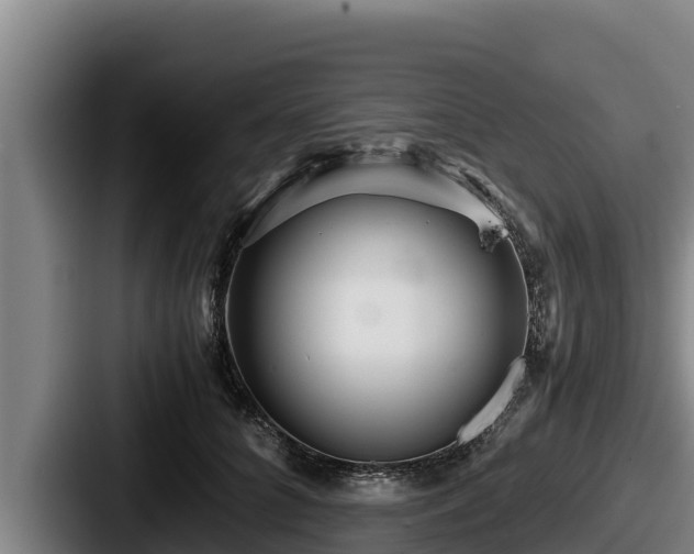 X0000087690704200705111321