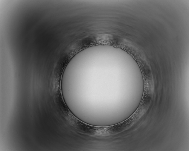 X0000087690705200705111321
