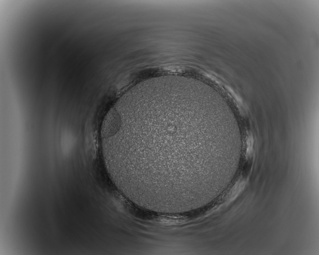 X0000087690707200705111321