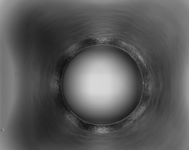 X0000087690710200705111321