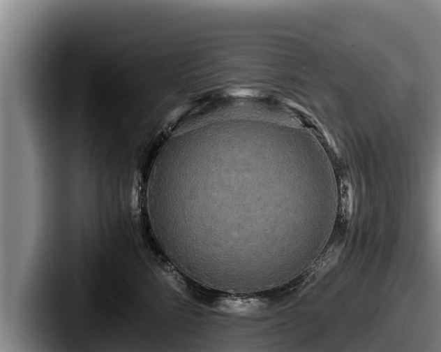 X0000087690712200705111320