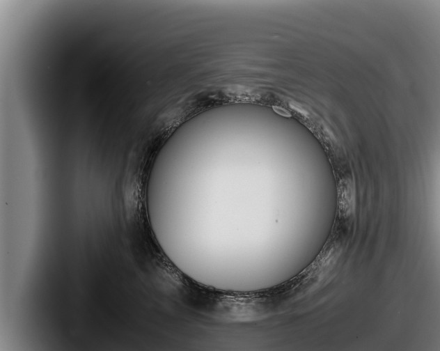 X0000087690713200705111320
