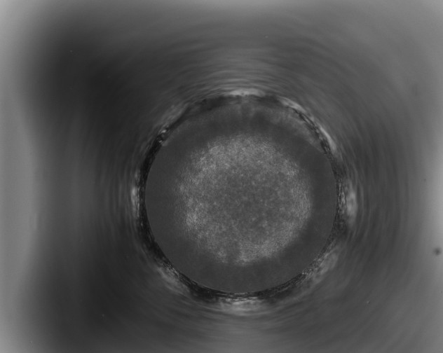 X0000087690716200705111320