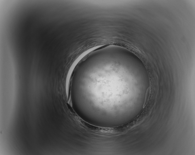 X0000087690720200705111320