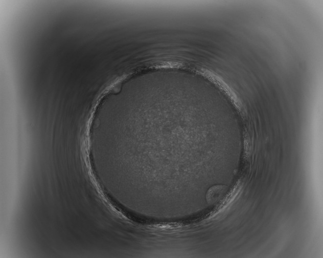 X0000087690721200705111320