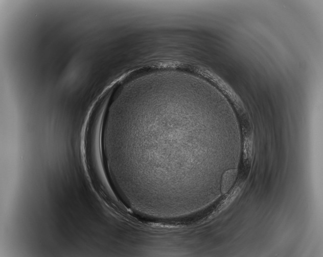 X0000087690722200705111320