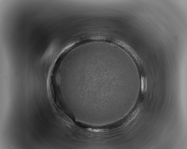 X0000087690723200705111320