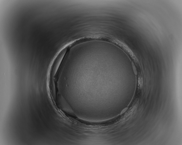 X0000087690724200705111320