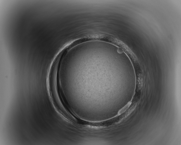 X0000087690726200705111320