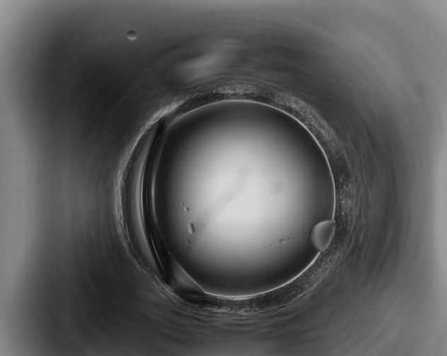X0000087690727200705111320