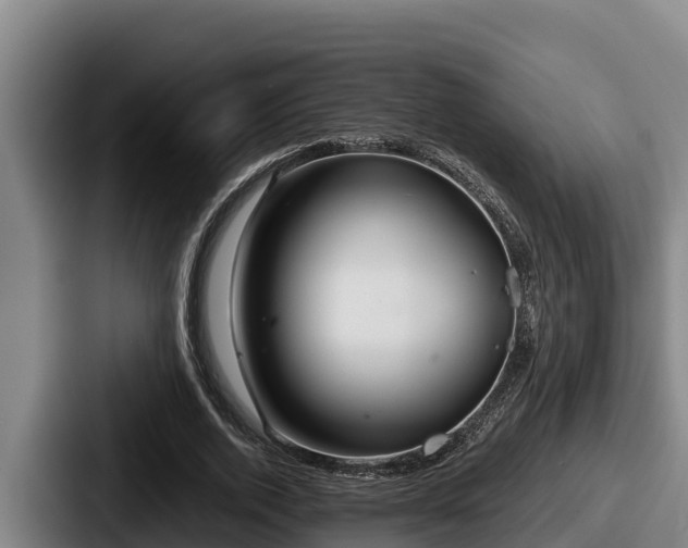 X0000087690728200705111320