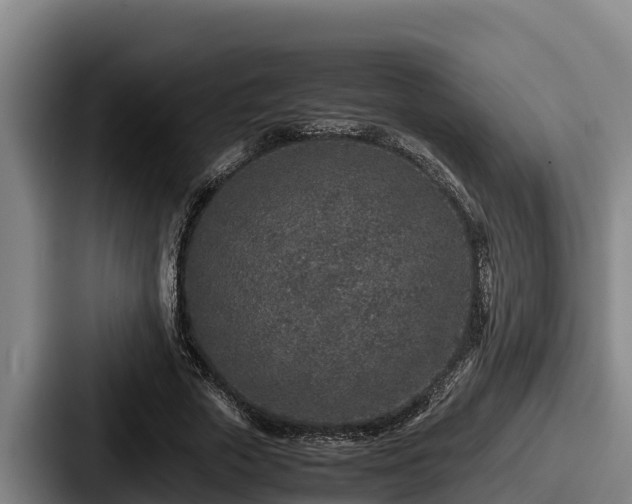X0000087690729200705111320