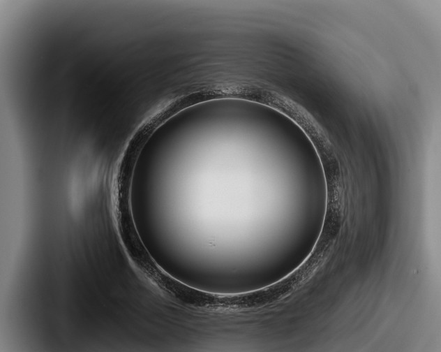 X0000087690730200705111320