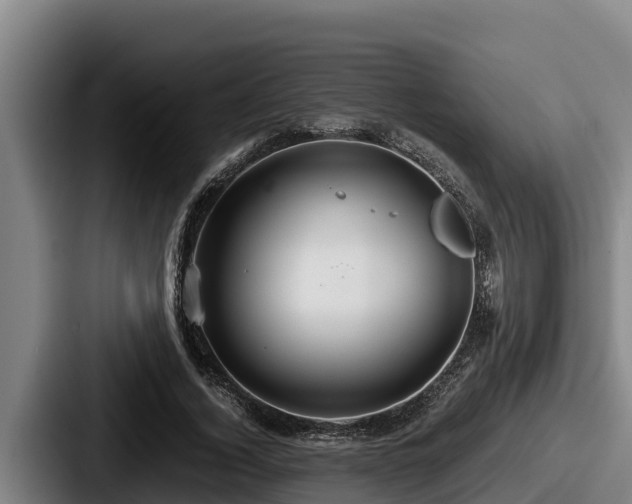 X0000087690732200705111320