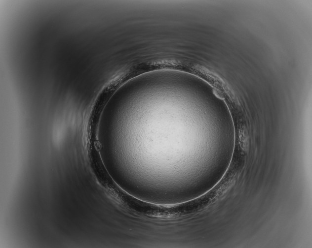 X0000087690735200705111320