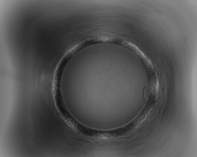 X0000087690736200705111320
