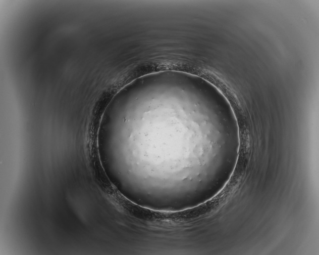X0000087690737200705111320