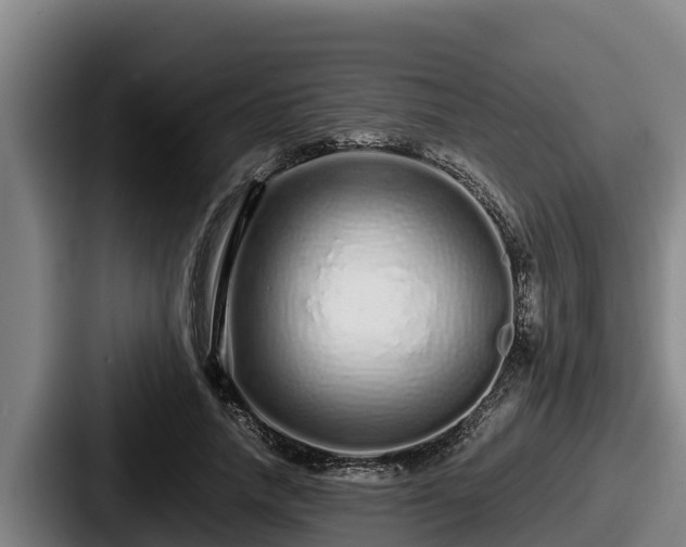 X0000087690738200705111320