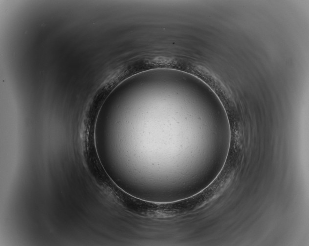 X0000087690739200705111320