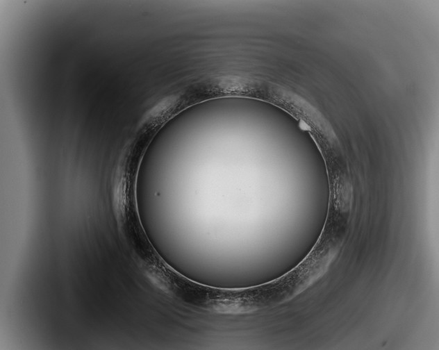 X0000087690740200705111320