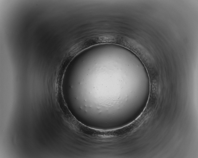 X0000087690741200705111320