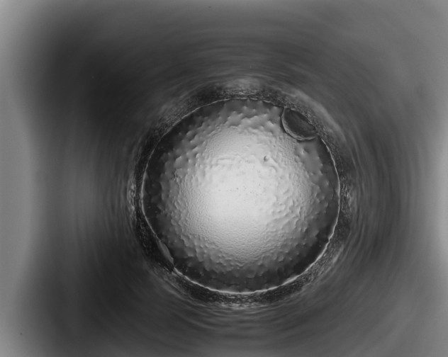 X0000087690745200705111320