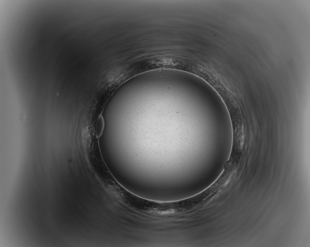 X0000087690747200705111320