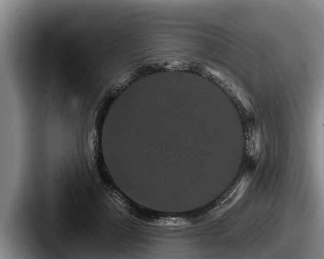 X0000087690748200705111320