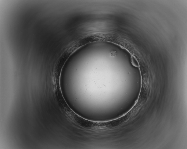 X0000087690749200705111320