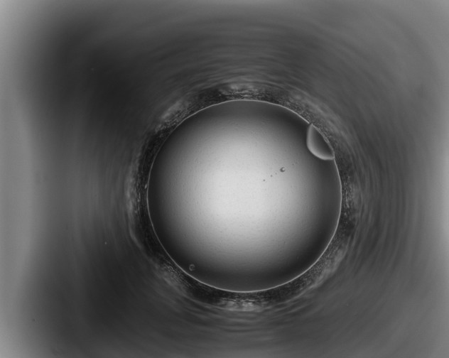 X0000087690751200705111320