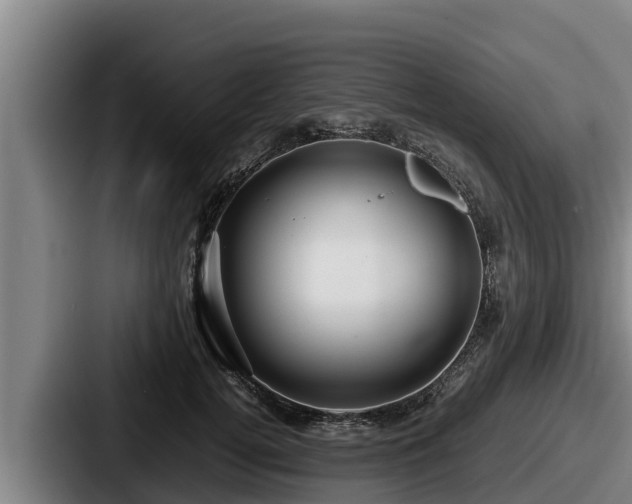 X0000087690752200705111320
