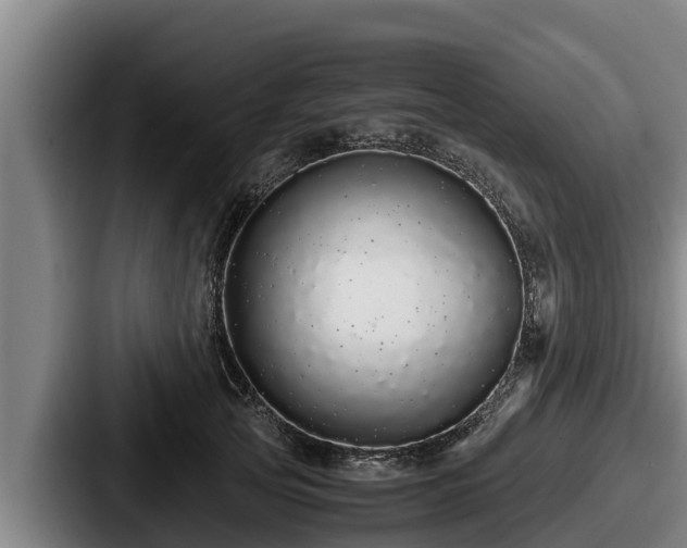 X0000087690753200705111320