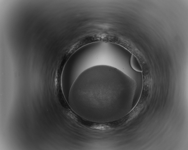 X0000087690754200705111320