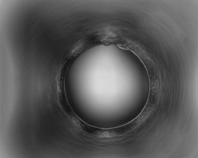 X0000087690755200705111320