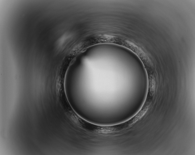 X0000087690758200705111320