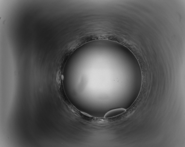 X0000087690768200705111320