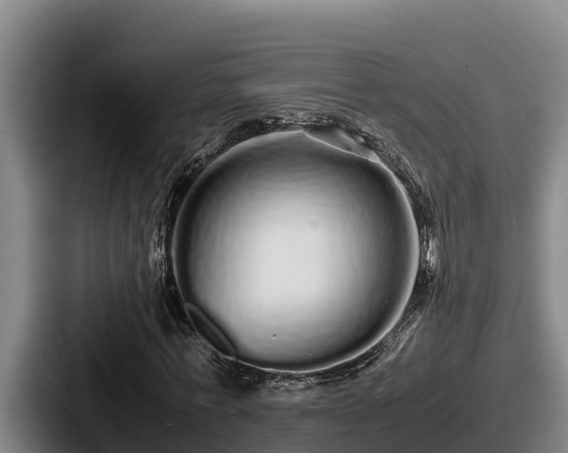 X0000087690771200705111320