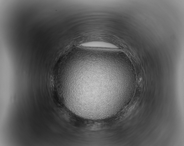X0000087690772200705111320