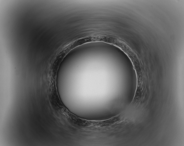 X0000087690773200705111320